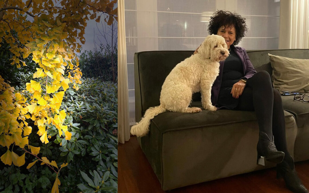 “De deur van geel 900–940 Hz als herfst verlicht licht”